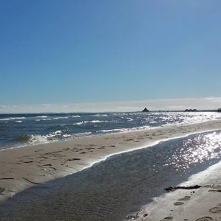 Medici - 5 ゼーバート・ヘリングスドルフ